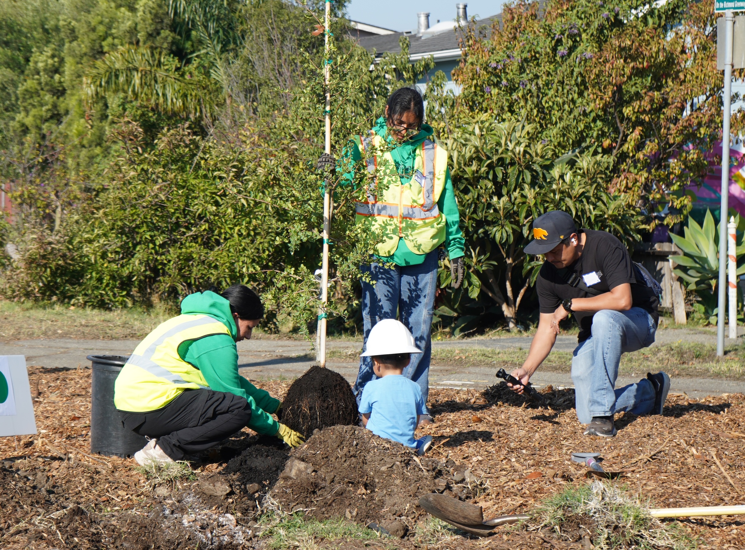 Arbor Day