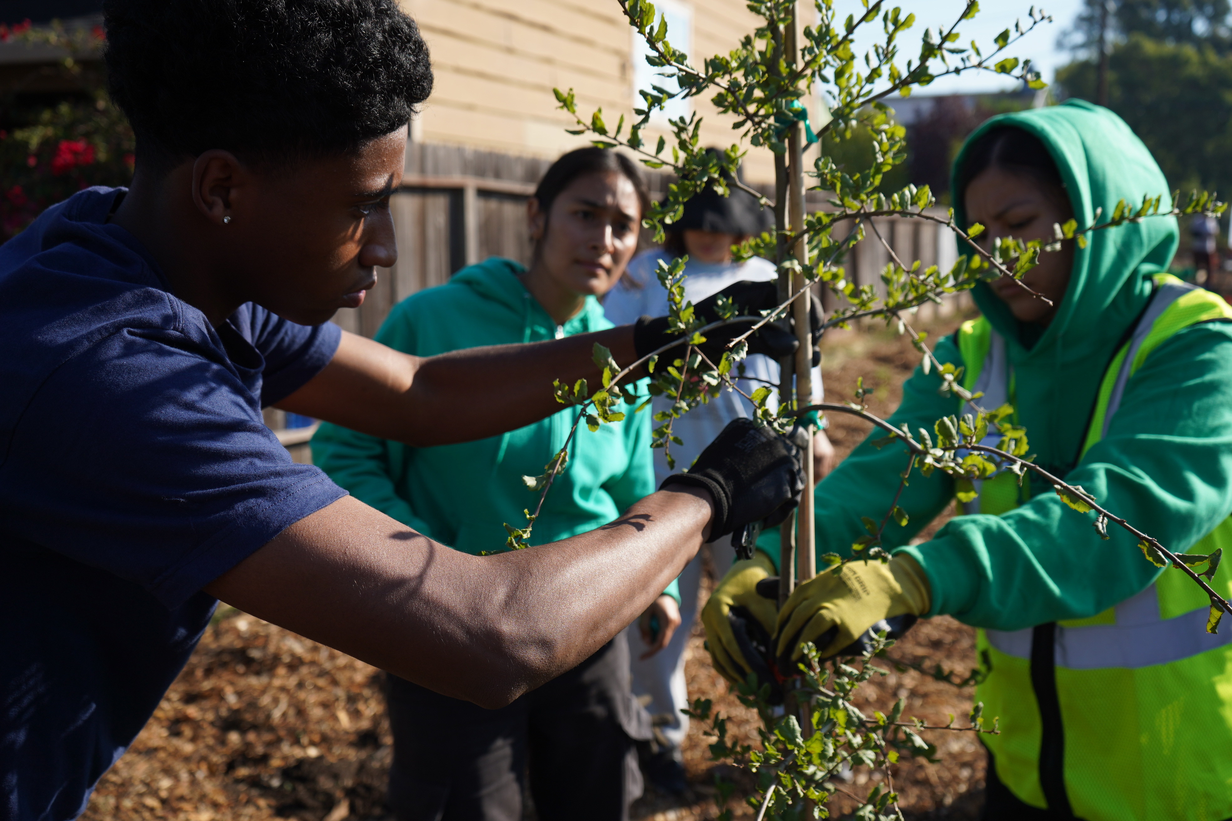 New funding to track Richmond's urban tree system